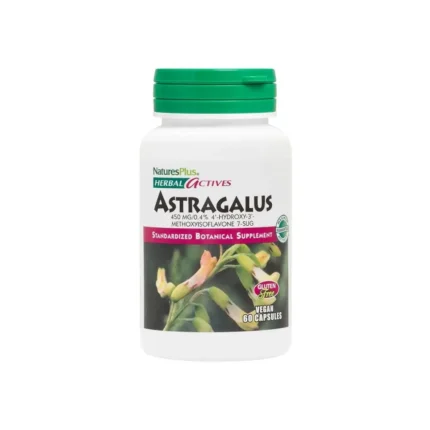 Natures Plus Herbal Actives Astragalus