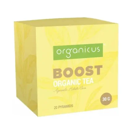 Organicus - Boost Organic Tea - Caffeinated