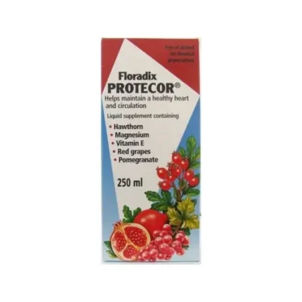 Salus Floradix Protector